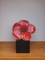 /album/fleurs-vases/fleur-sur-pied-4-jpg/